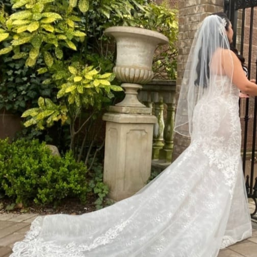 Bride wedding dress